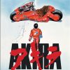 Japan Anime Akira Red Fighting Comic Movie Art Painting Canvas Poster and Prints Wall Art Pictures 3 - Akira Merch