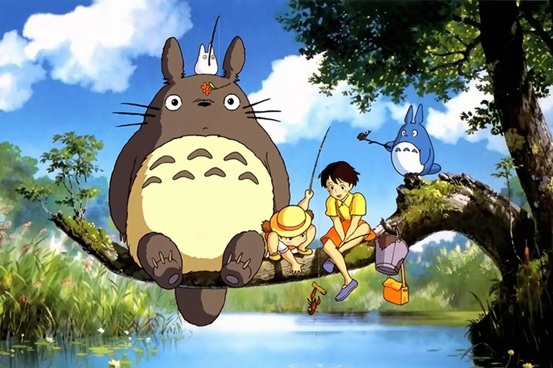 2021 8 16 637647225964305254 tonari no totoro hang xom cua toi la totoro 1988 1 - Akira Merch
